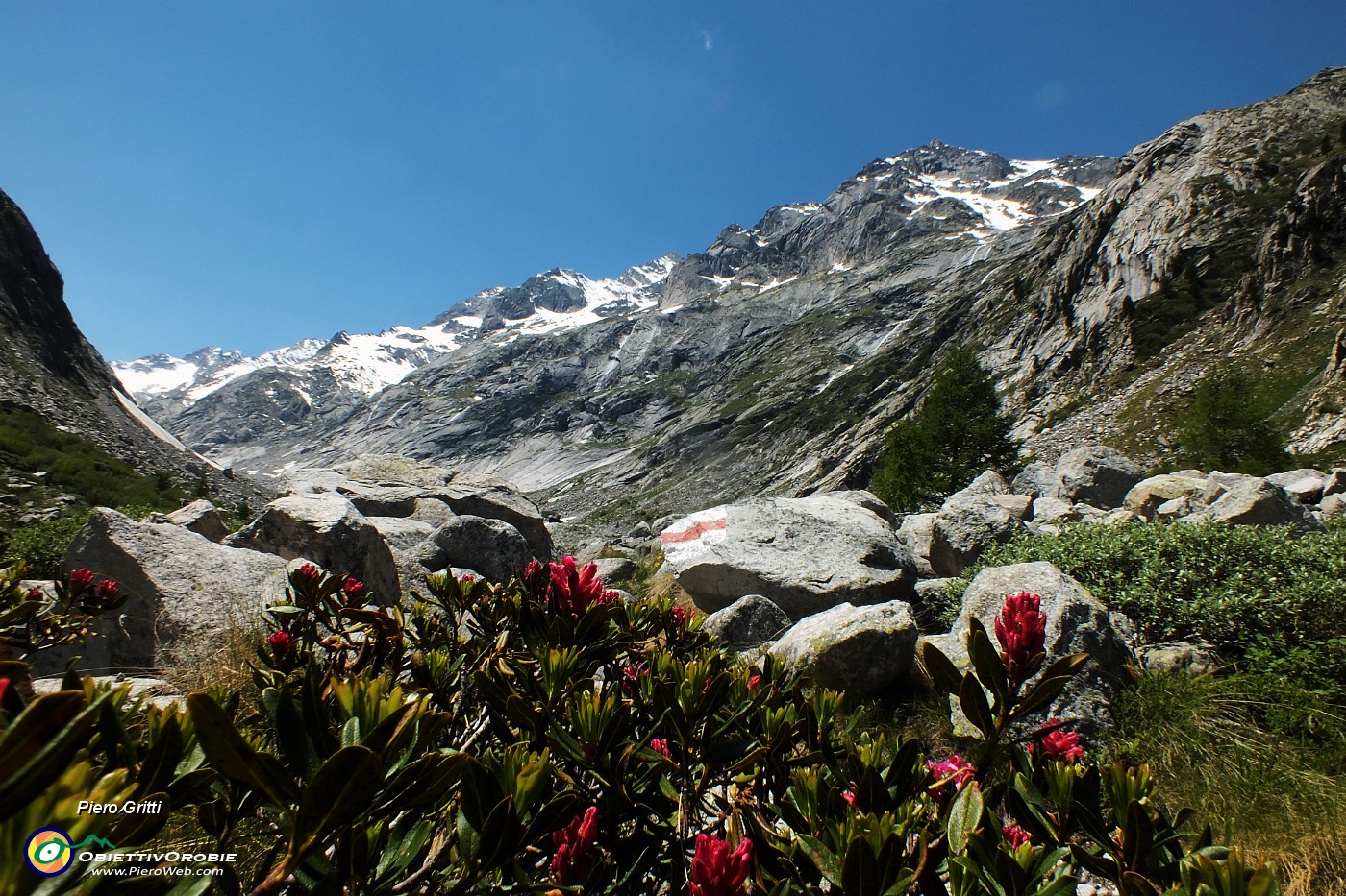 35 Risalendo la valle glaciale del Forno.JPG